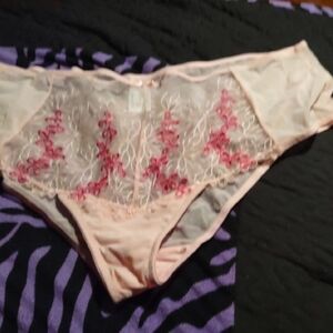 Pretty Secrets Pink Panties sz 22